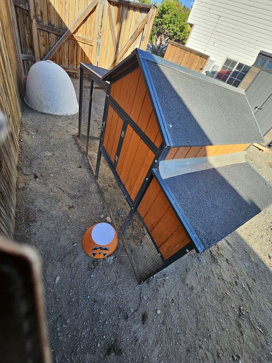 Main image 4