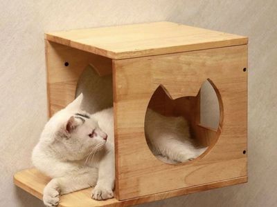 Cat Wall Perch And 2 Wall Steppers