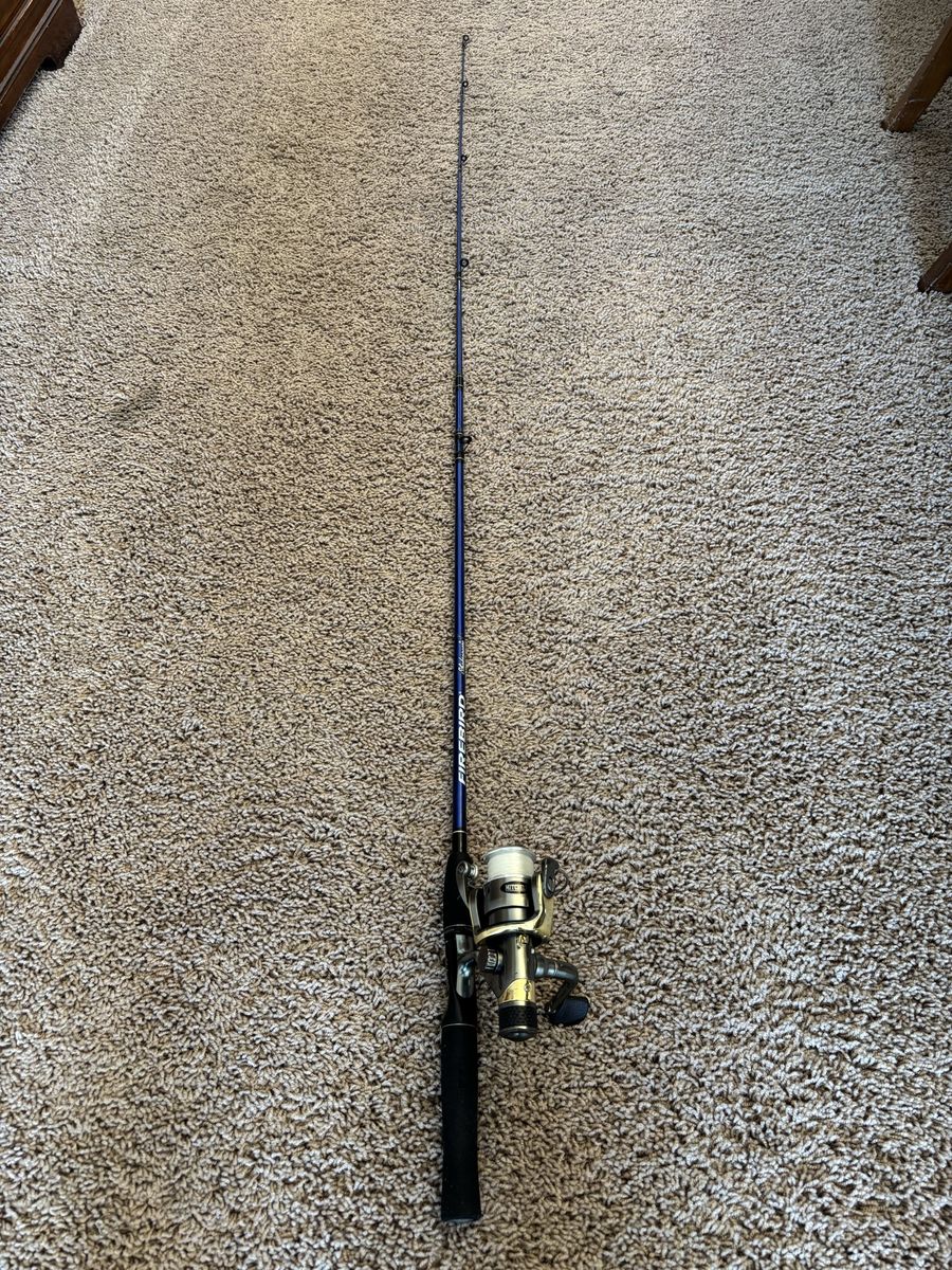 Shakespeare Fishing Pole and Mitchell Reel