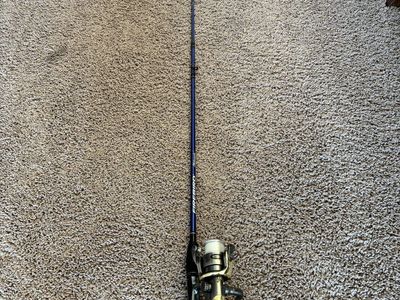 Shakespeare Fishing Pole and Mitchell Reel