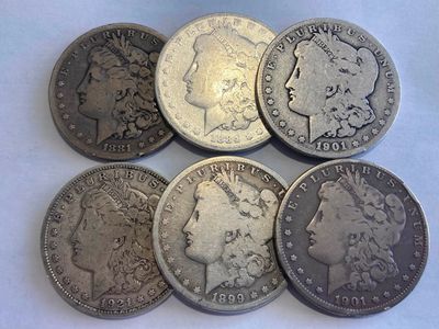 6 Morgans 1881s, 1884p, 1899o, 2-1901o, 1921p $60 each