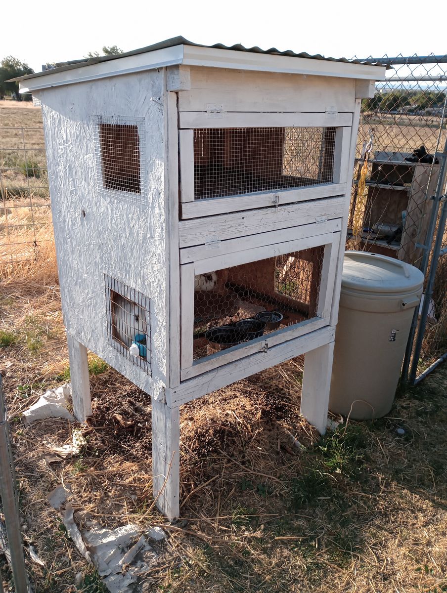 Two story rabbit hutch