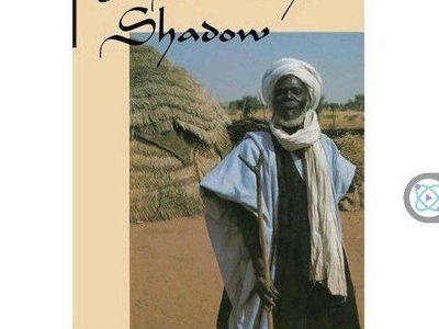 In Sorcery's Shadow: A Memoir of Apprenticeship among the Songhay of Niger by Stoller & Olkes (Paperback)