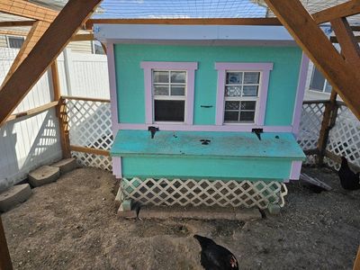 Chicken Coop and 20 chickens