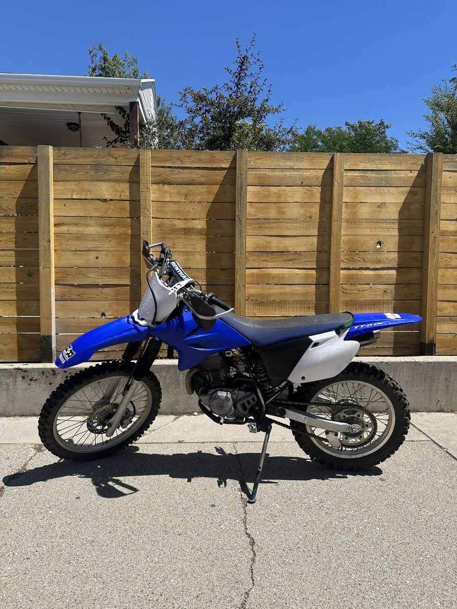 2008 Yamaha TTR230