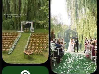 ISO of backyard with willow tree
