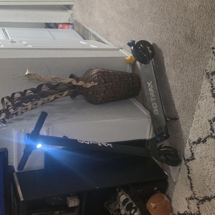 GoTrax Electric Scooter