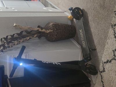 GoTrax Electric Scooter