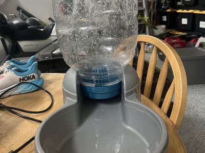 Gravity water feeder