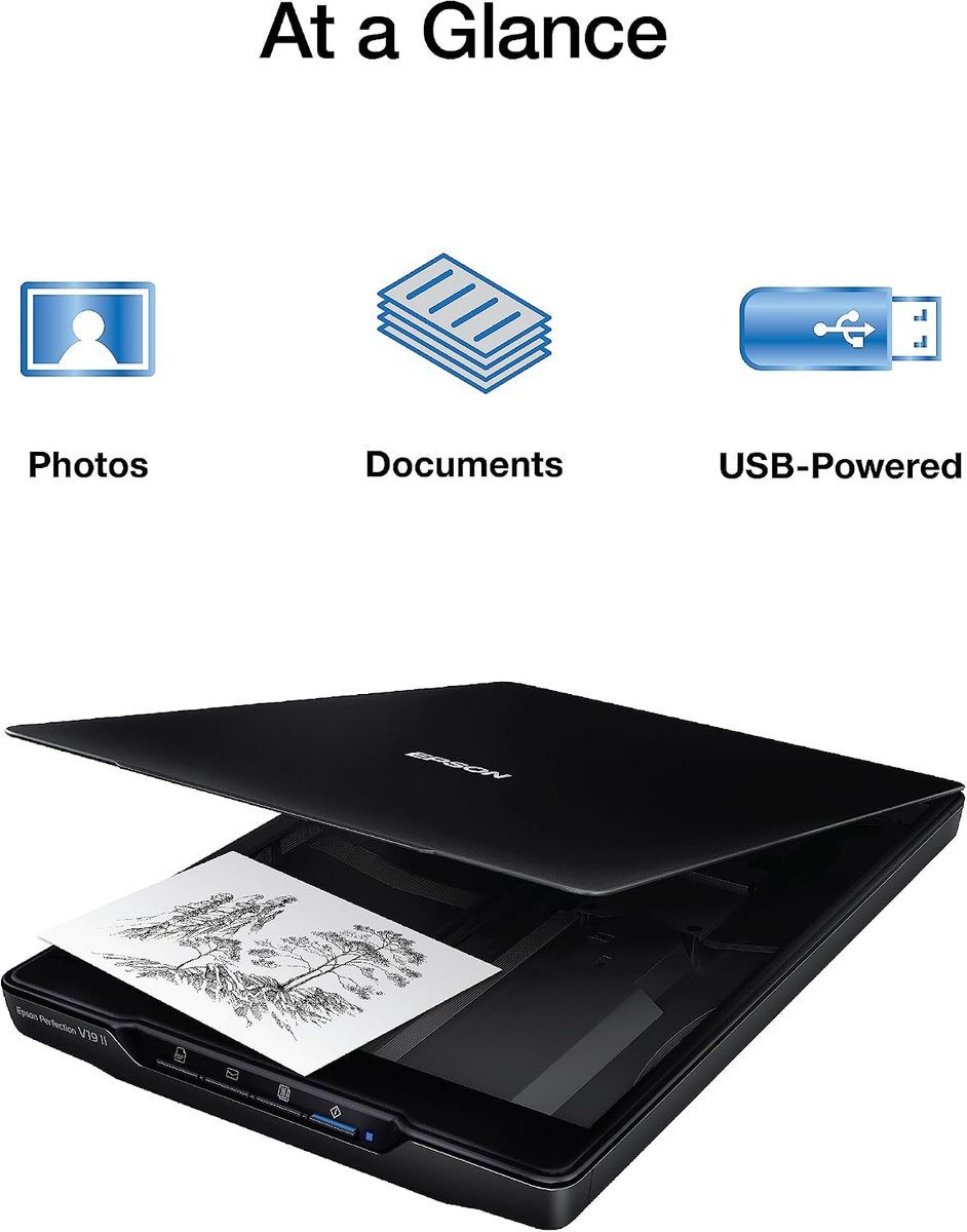 Epson Perfection V19 II Flatbed Photo & Document Scanner - 4800 dpi, USB-Powered