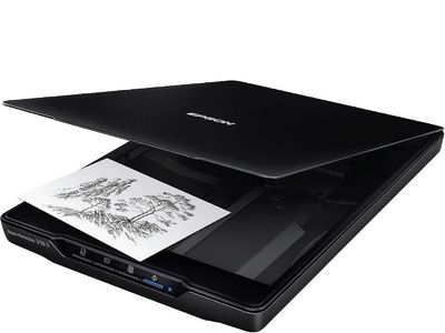 Epson Perfection V19 II Flatbed Photo & Document Scanner - 4800 dpi, USB-Powered