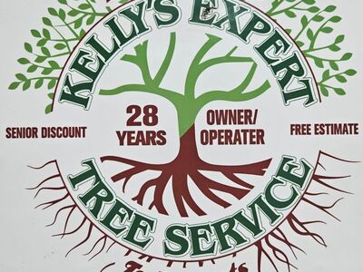 Tree Trimming | Tree Removal | Xeriscaping | Landscaping Work | And More!