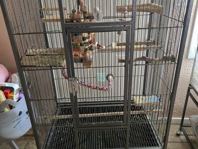 Large Bird Cage with toys