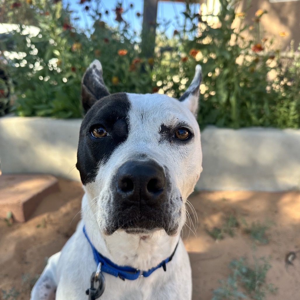 Hello my name is Bree