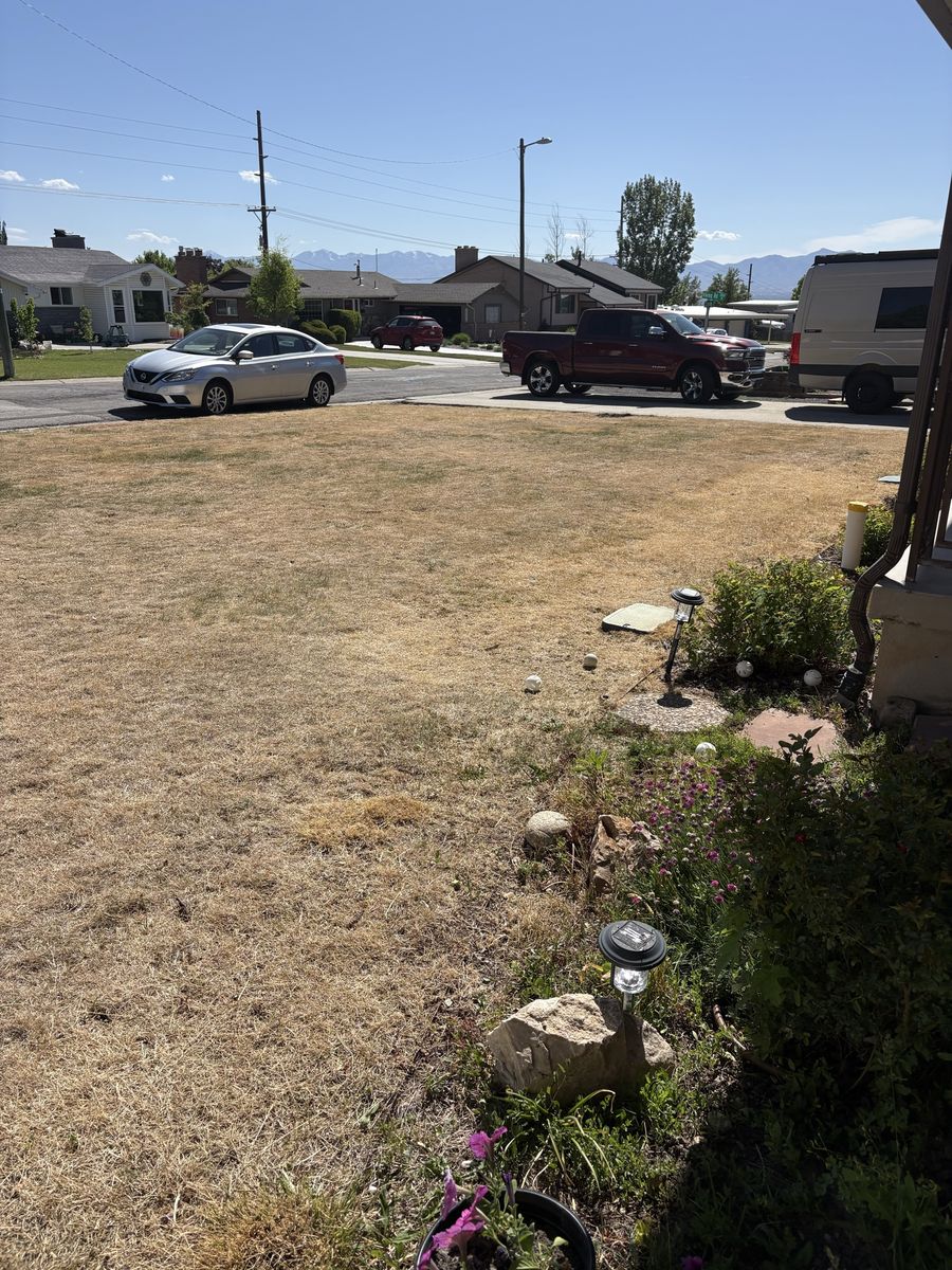 Need: Light landscape install. Paver path, new mulch bed. About 350 square feet total