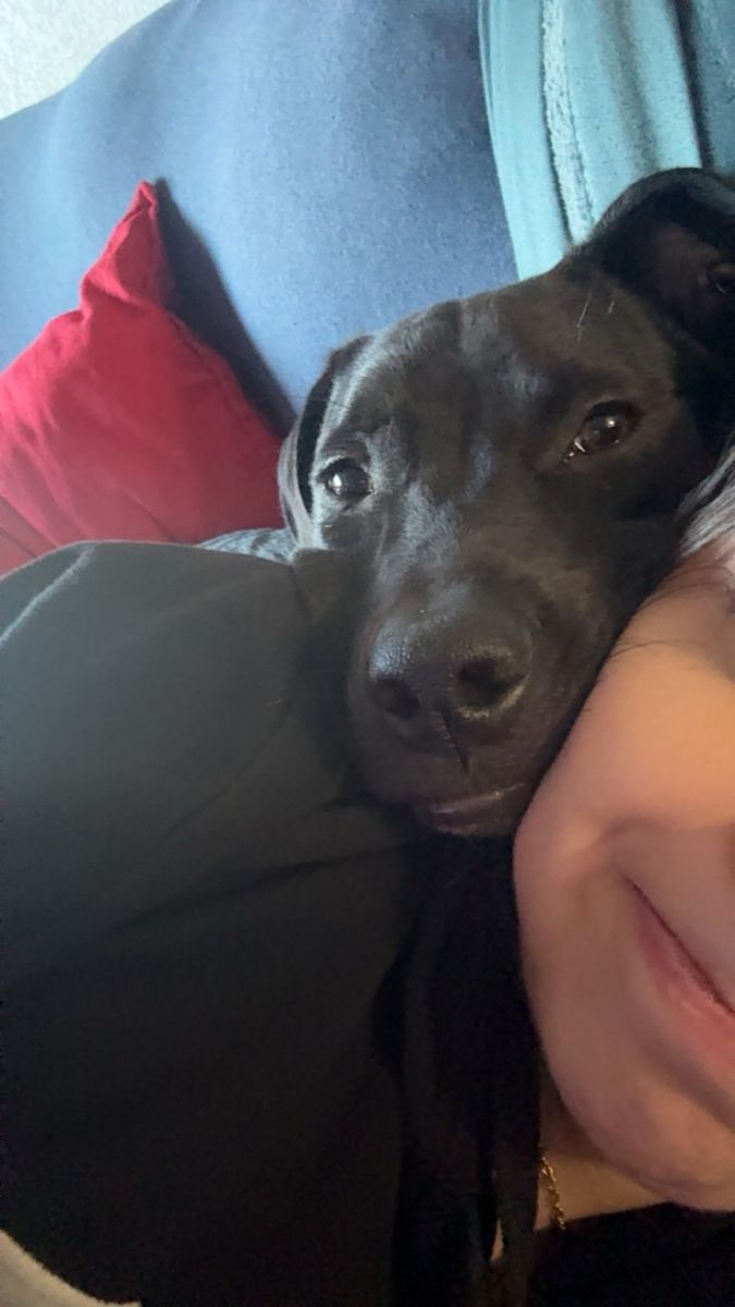 dexter looking for a loving home