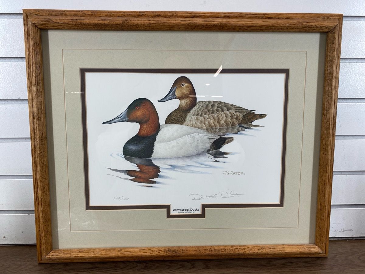 AYTHYA VALISINERIA CANVASBACK DUCKS SIGNED PRINT 10"X14" #WCP040237