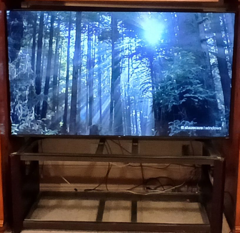 65 inch tv with stand