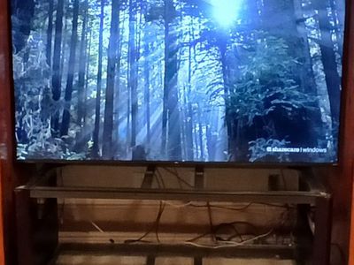 65 inch tv with stand
