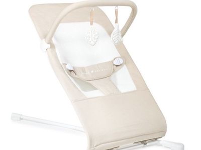 Baby Delights Hyland Bouncer with Toy Bar
