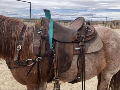 Saddle