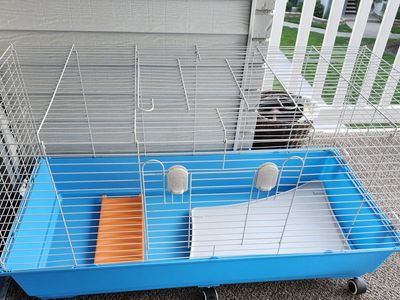 Small pet habitat
