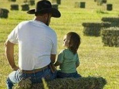 Quality alfalfa