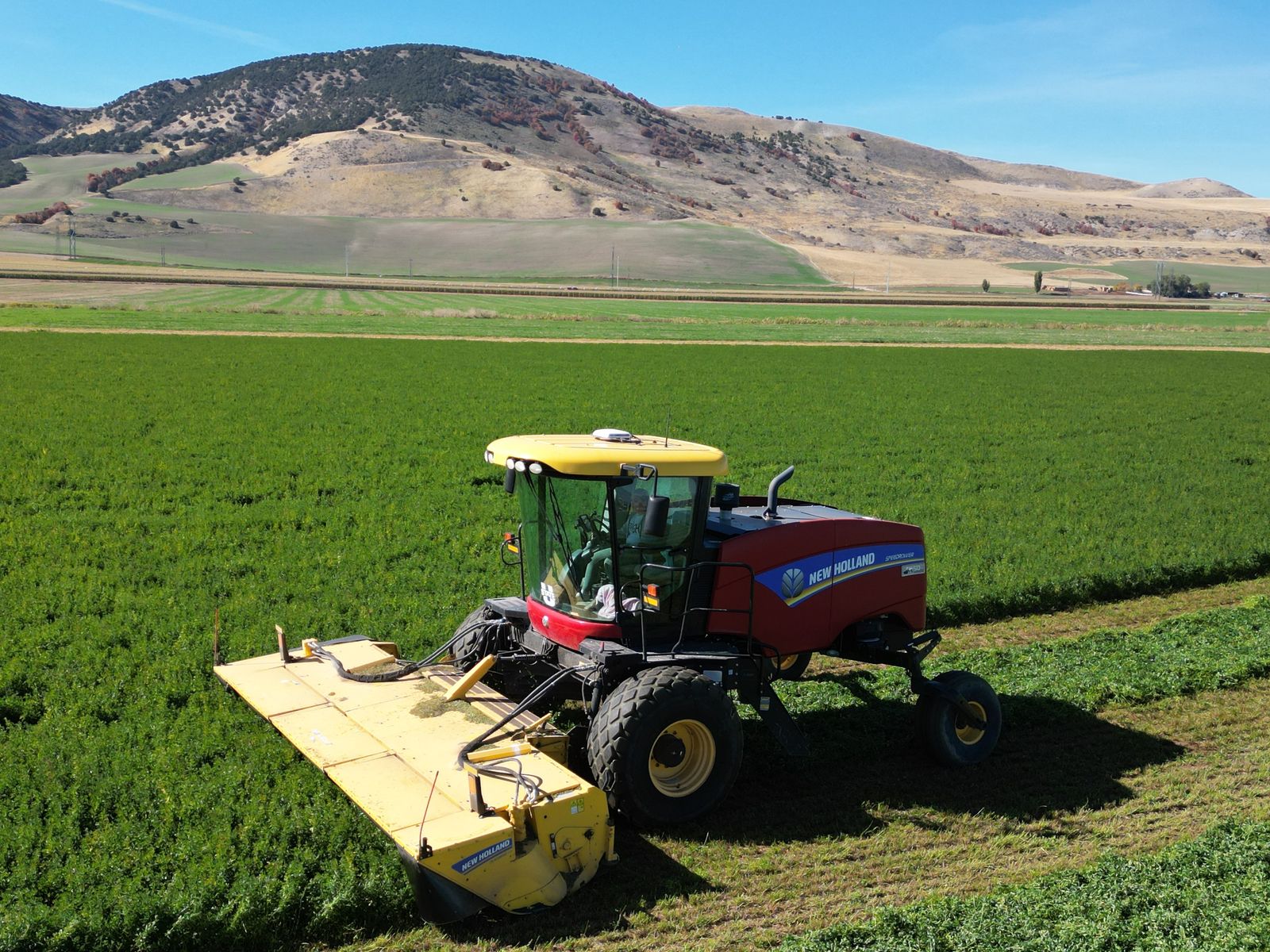 2015 NEW HOLLAND SPEEDROWER 260