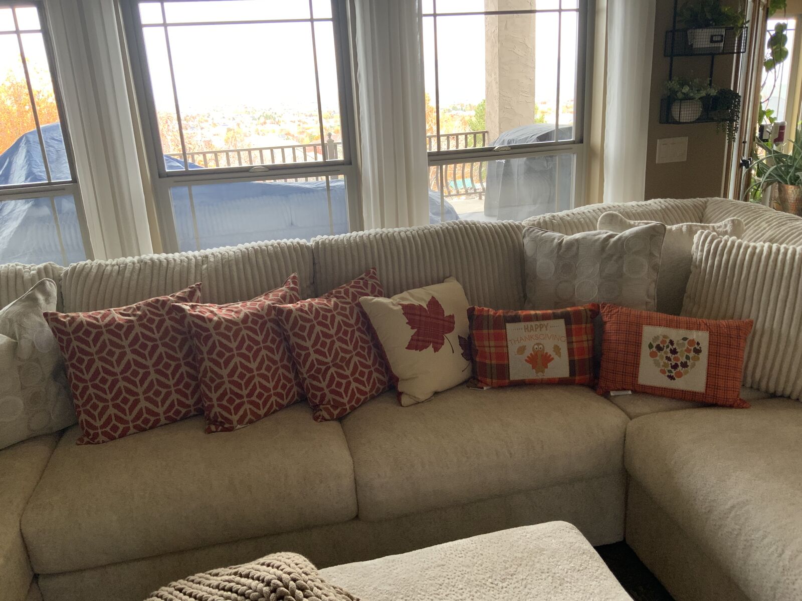 BEAUTIFUL BRAND NEW THANKSGIVING/FALL ACCENT PILLOWS.  $20 EACH. CASH/VENMO ONLY