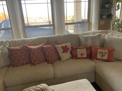 BEAUTIFUL BRAND NEW THANKSGIVING/FALL ACCENT PILLOWS. $20 EACH. CASH/VENMO ONLY