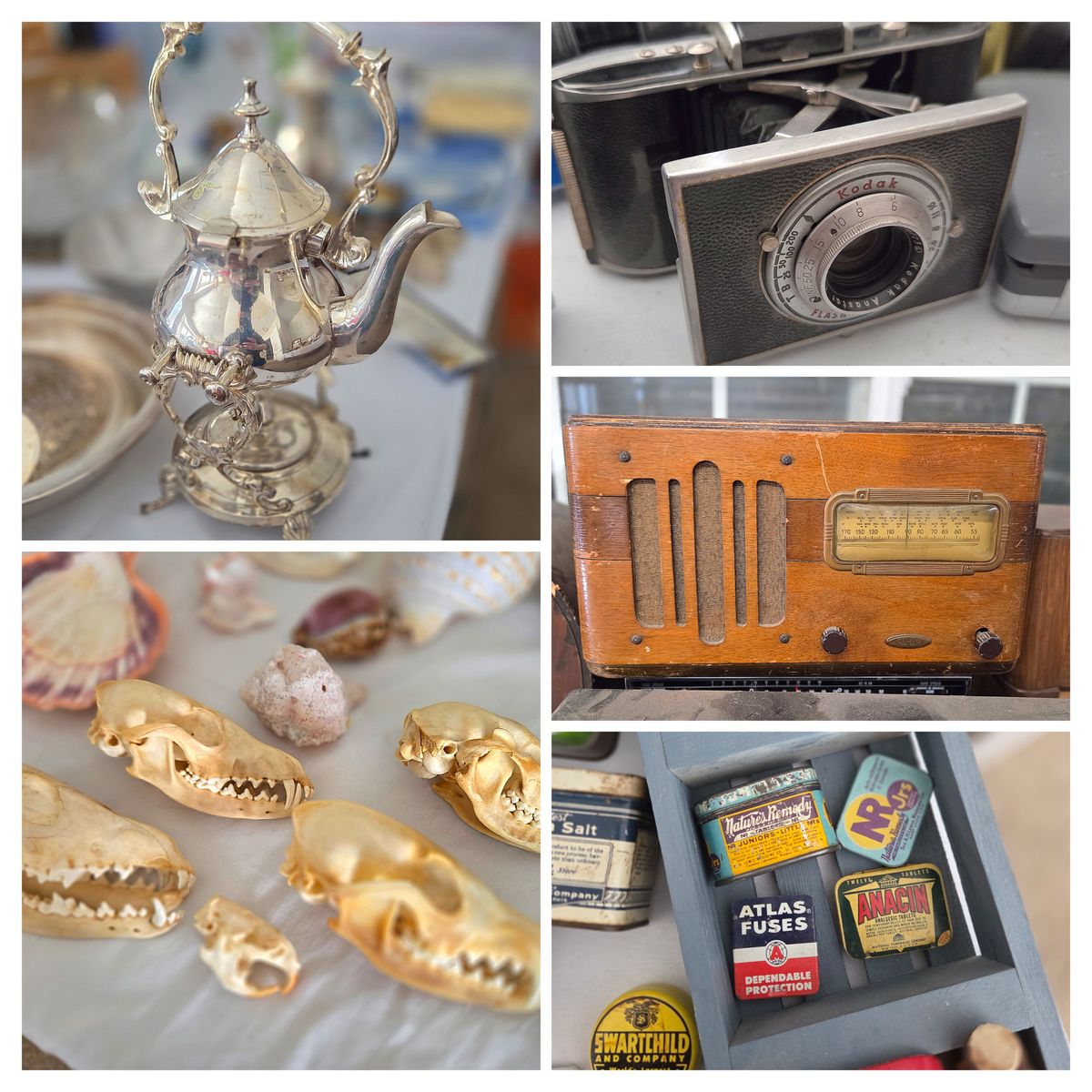 The Doctor’s Eclectic Treasury: A Lifetime Collection