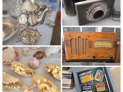 The Doctor’s Eclectic Treasury: A Lifetime Collection
