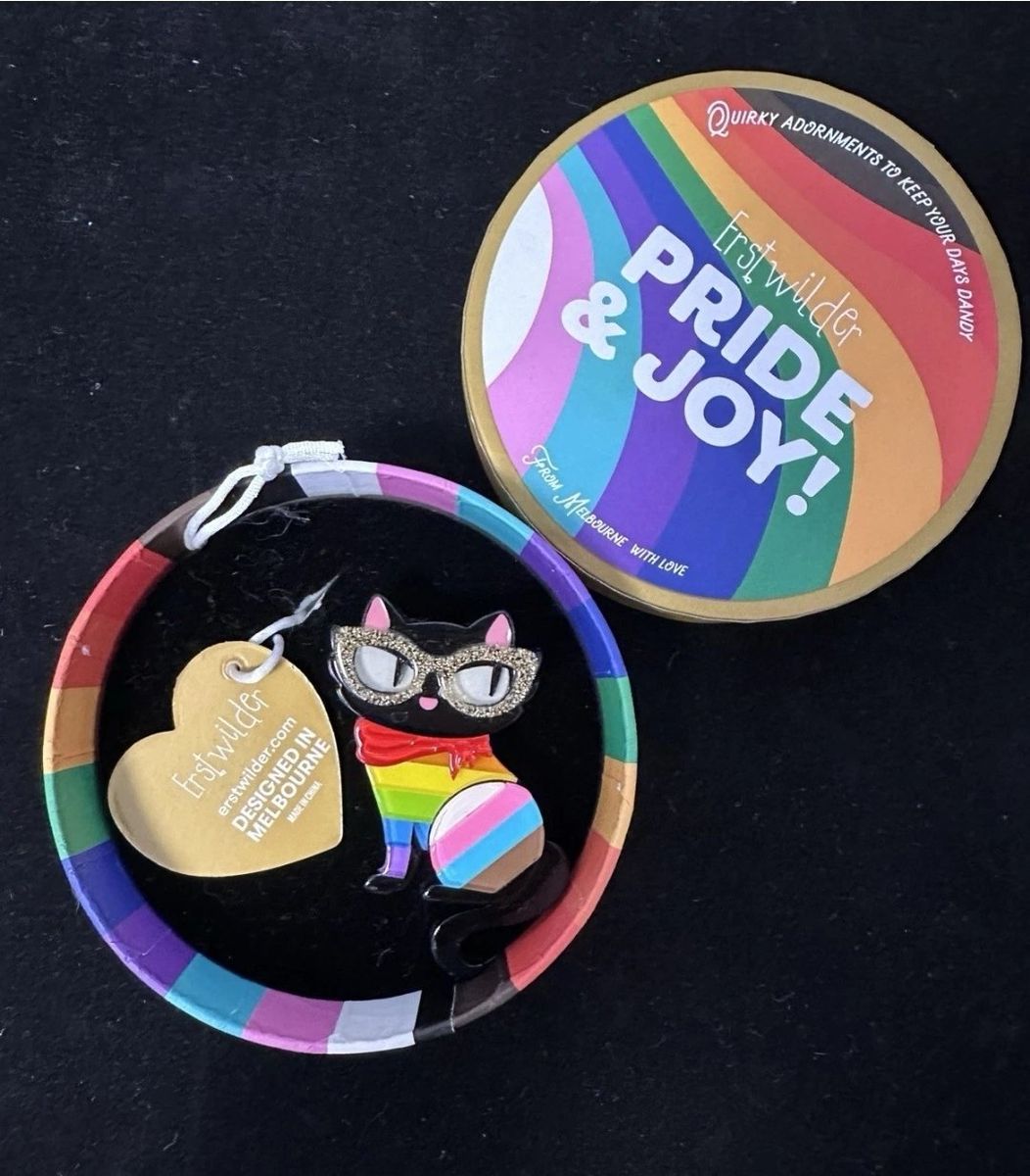 Erstwilder Elissa the Rainbow Cat Brooch Pride Joy