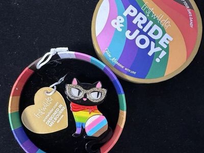 Erstwilder Elissa the Rainbow Cat Brooch Pride Joy