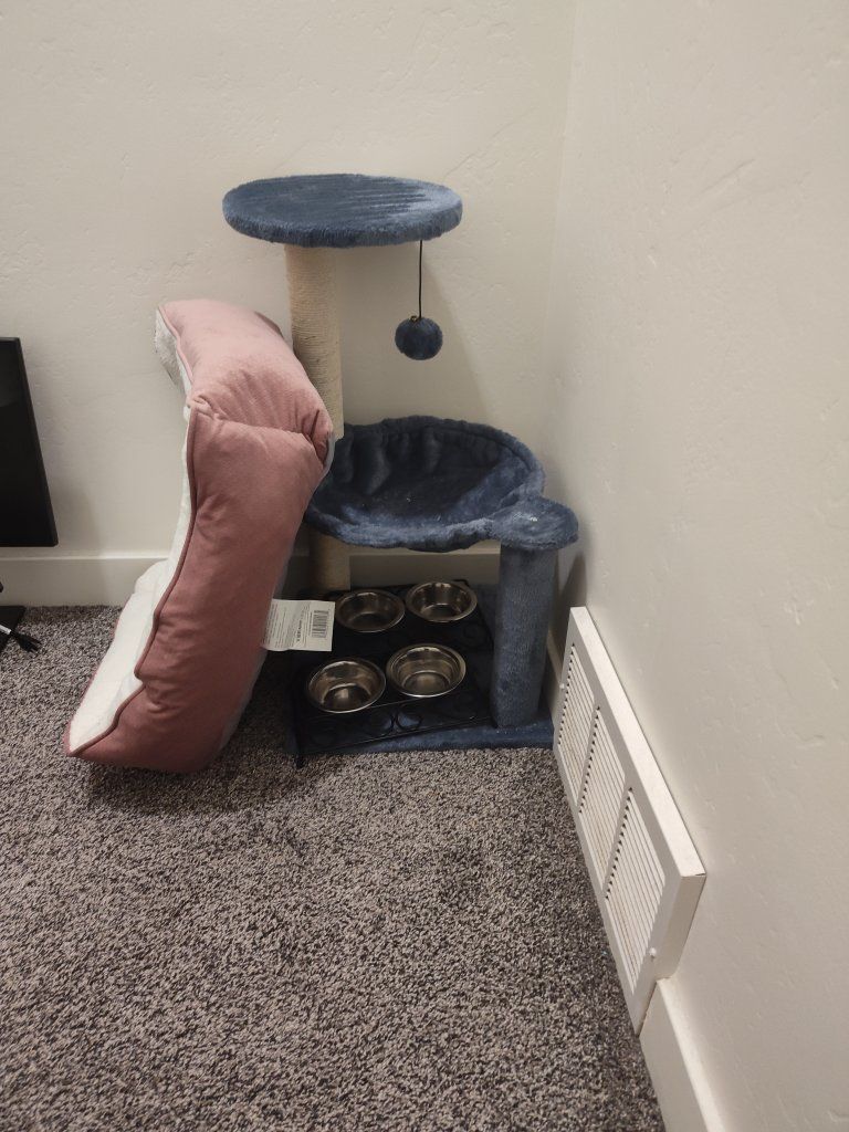 cat supplies