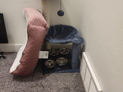 cat supplies