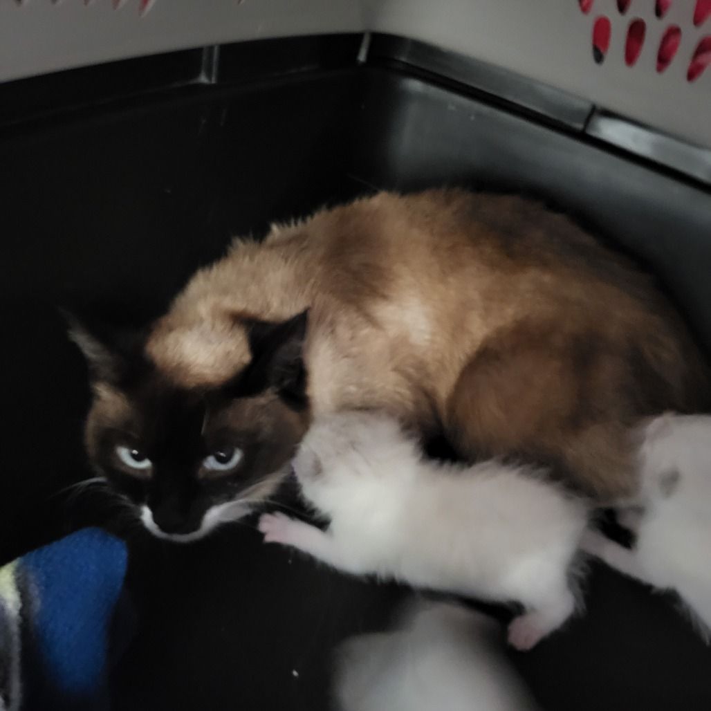 Hello my name is Spencer