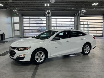 2024 Chevrolet Malibu LS Fleet