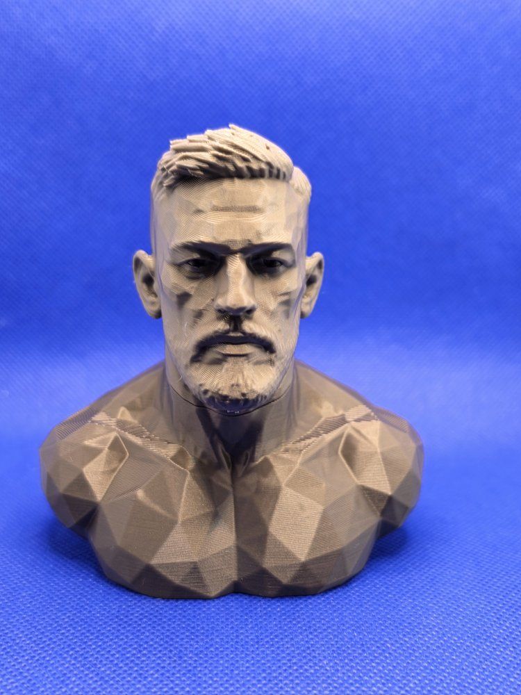 Conor McGregor 3D Printed Bust Sculpture Figure - Unique Geometric Design