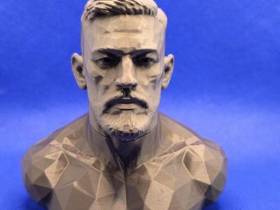 Conor McGregor 3D Printed Bust Sculpture Figure - Unique Geometric Design