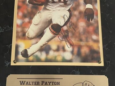 Walter Payton Auto Chicago Bears Autograph 11x13