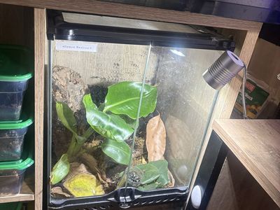 Terrarium