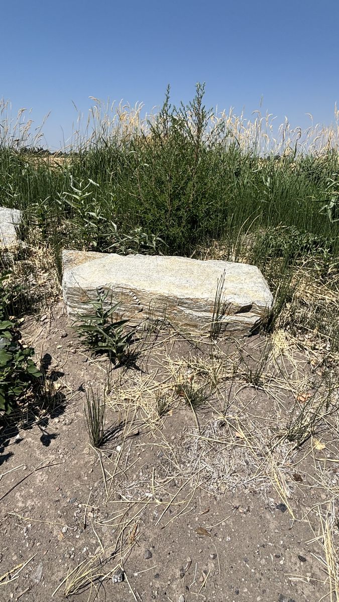 Large Decorative Landscape Boulders & Flagstone Rocks