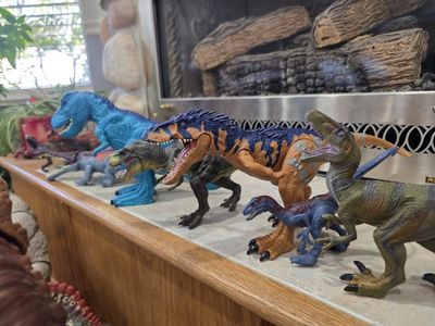 Dinosaur 🦕 Collection