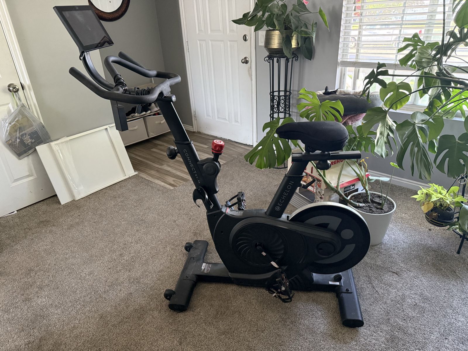Echelon stationary bike
