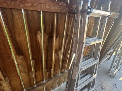 Werner extended ladder