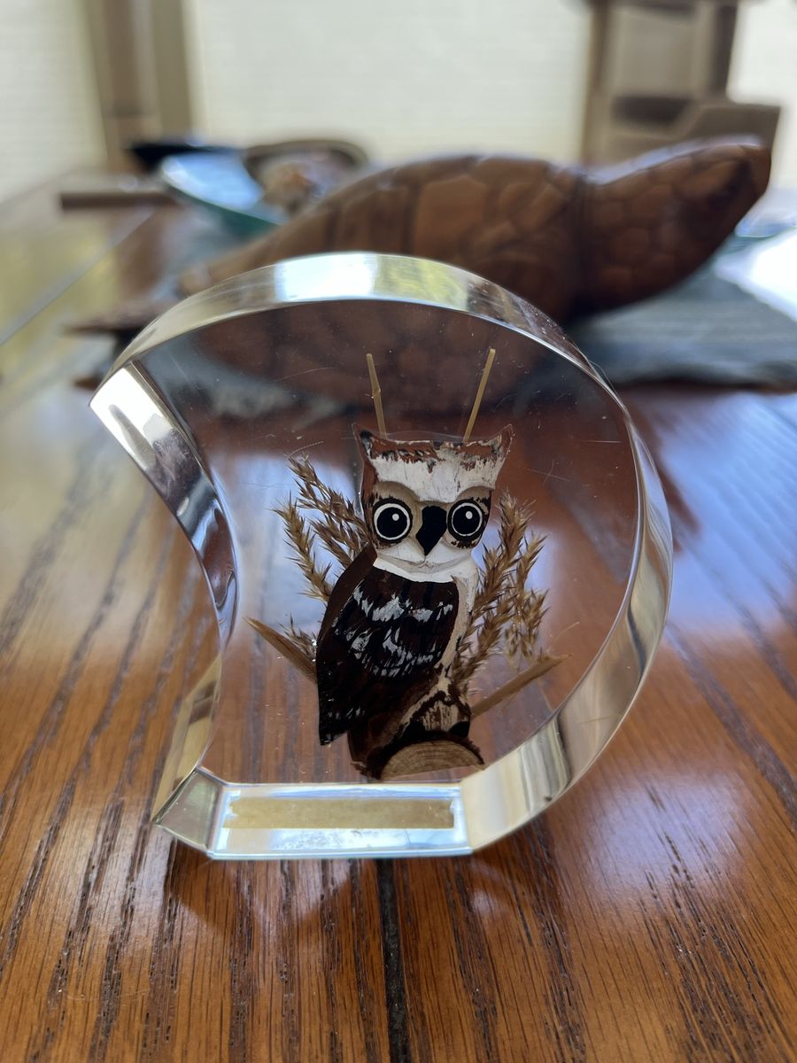 Unique Canada Hand Wood Carved Hand Painted Great Horned Owl Lucite Paperweight