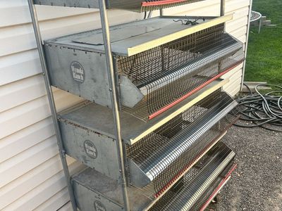 Wynola Ranch 4-Tier Heavy Duty Battery Quail Cage Setup – Mobile & Complete