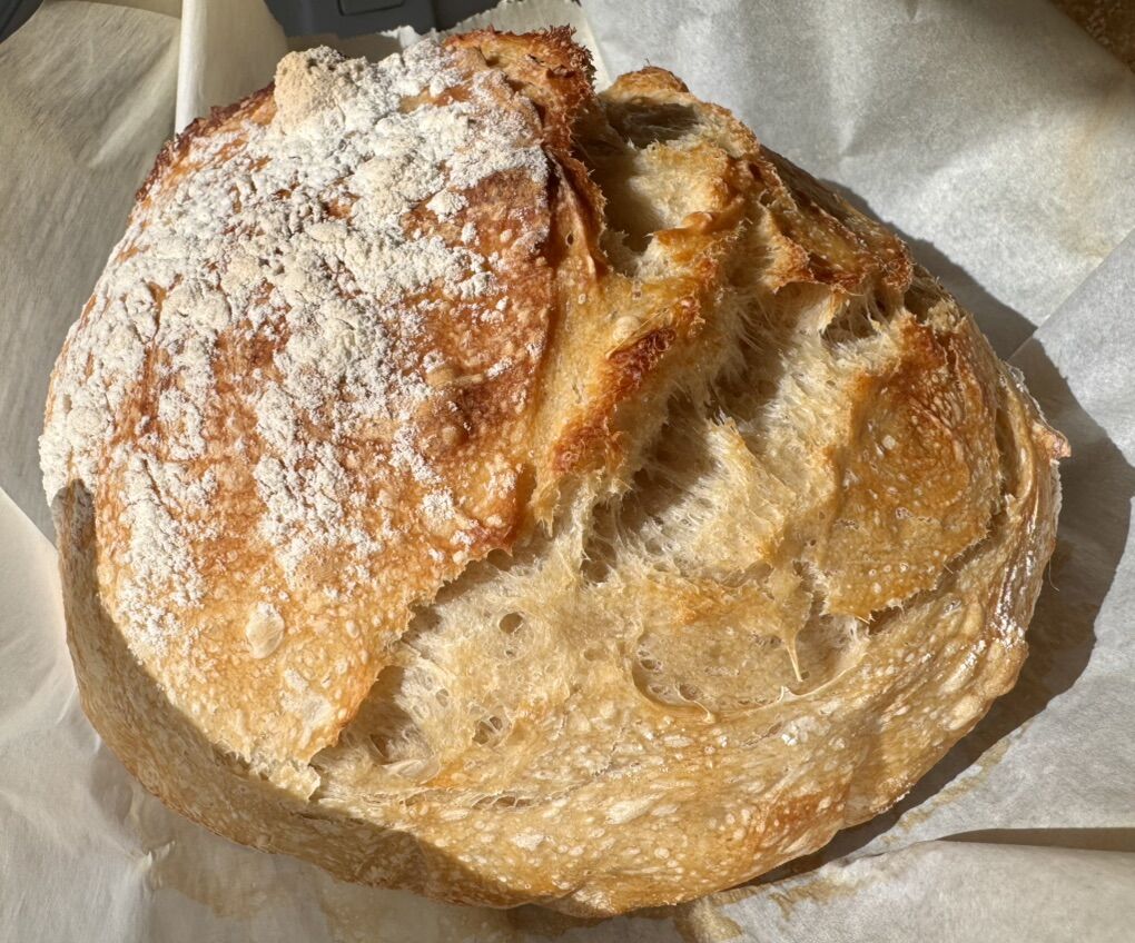 Organic Homemade Sourdough Bread