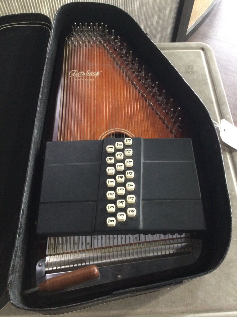 Autoharp-E75008749